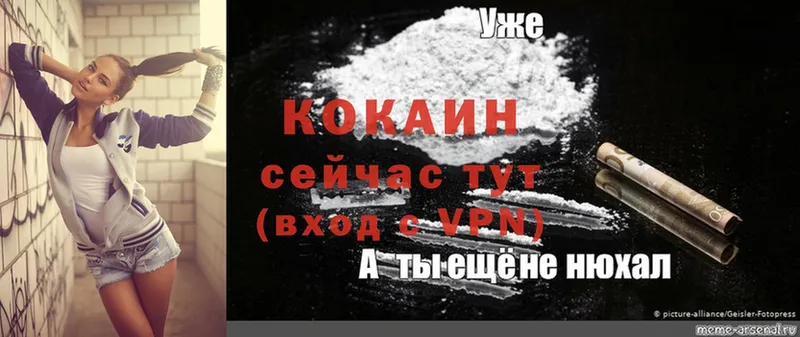 как найти наркотики  Дмитров  Cocaine 98% 